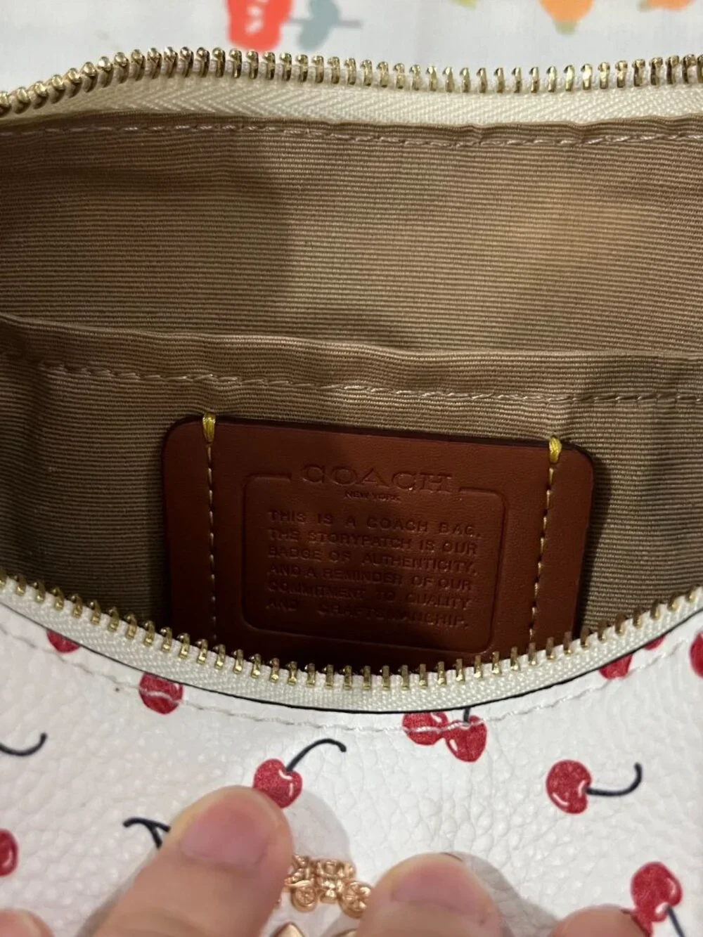 Coach Teri 25 Cherry Limited Edition Shoulder Bag